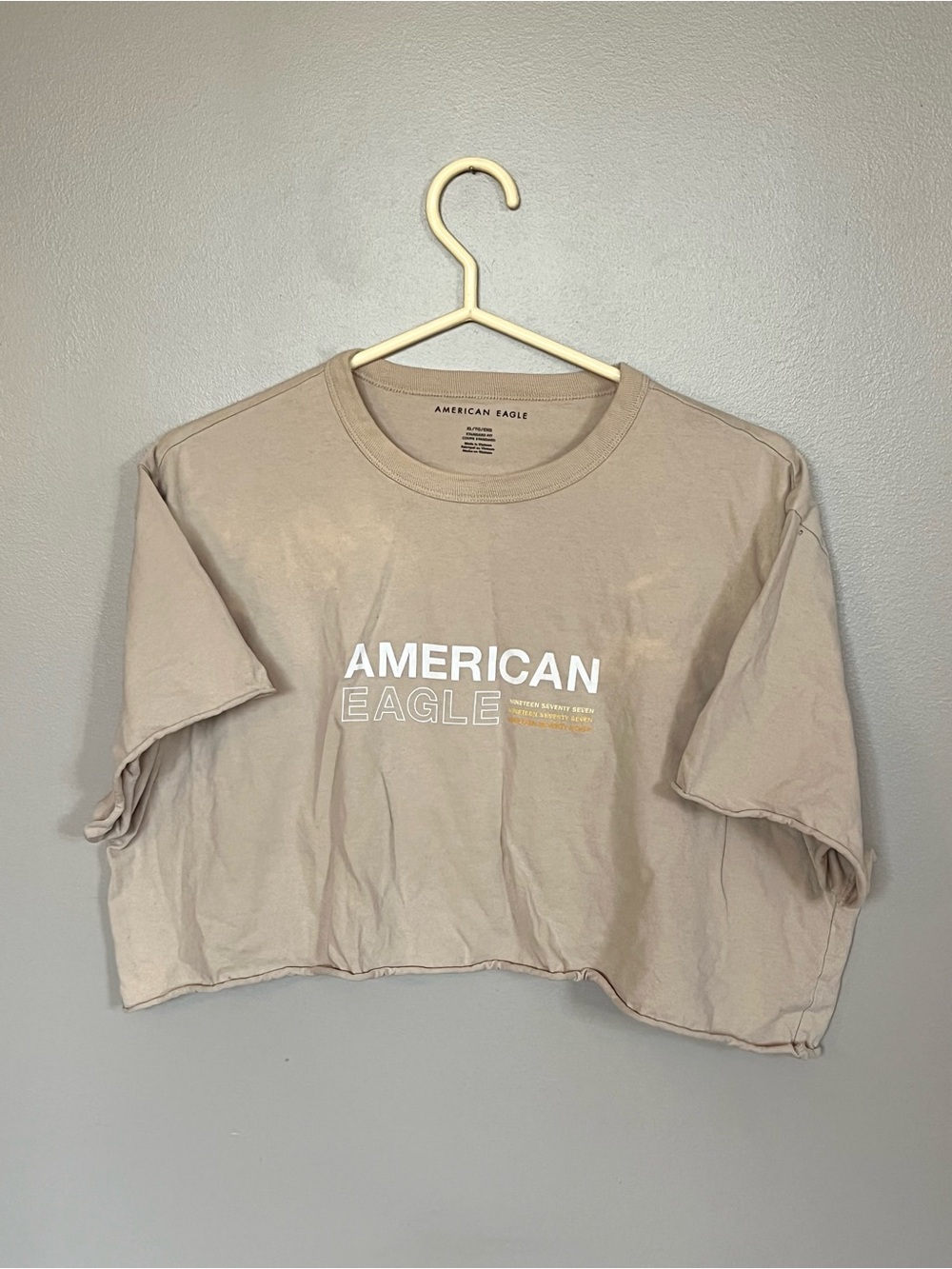 American Eagle Outfitters Cropped Logo Tee